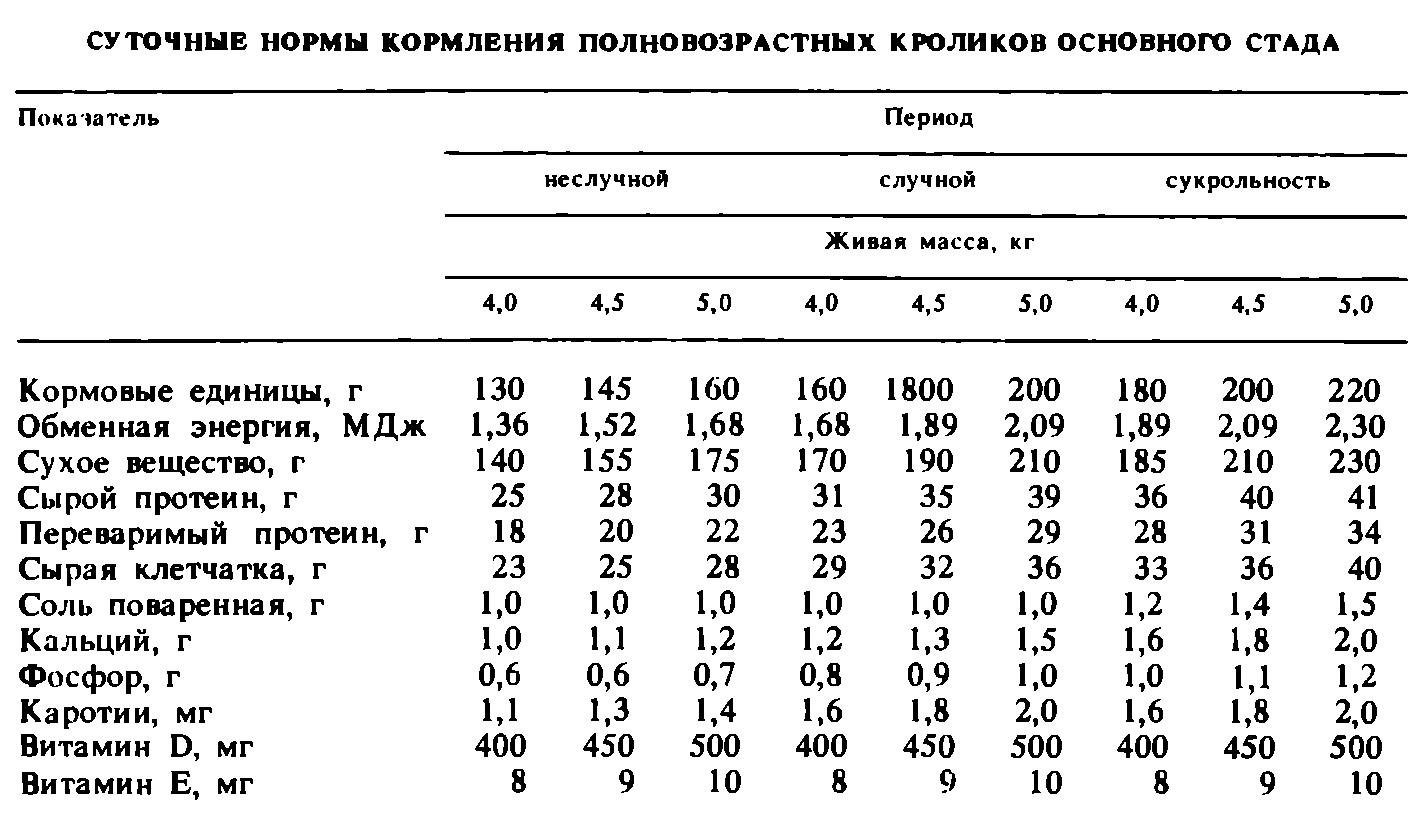 нормы кормления кроликов