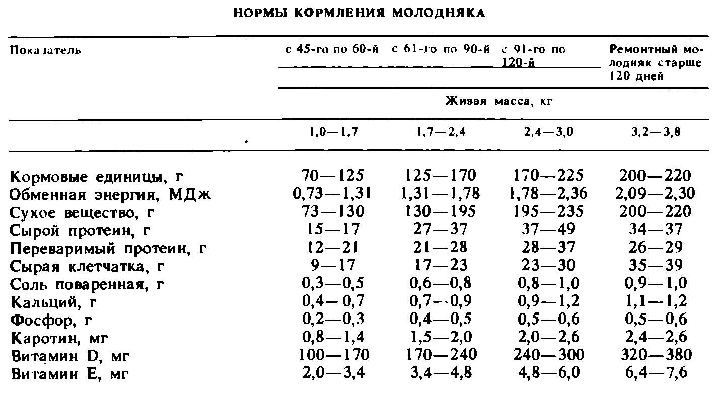 нормы кормления кроликов